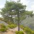 Sierra de Francia: naturaleza que inspira; visitas guiadas madrid mapa senderismo baston senderismo 